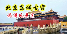 鸡巴逼免费看性啊不要中国北京-东城古宫旅游风景区